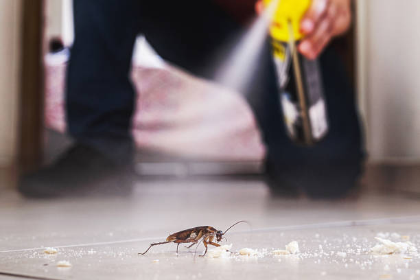 Best Flea Control Services  in Hanover, PA